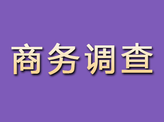 凤冈商务调查